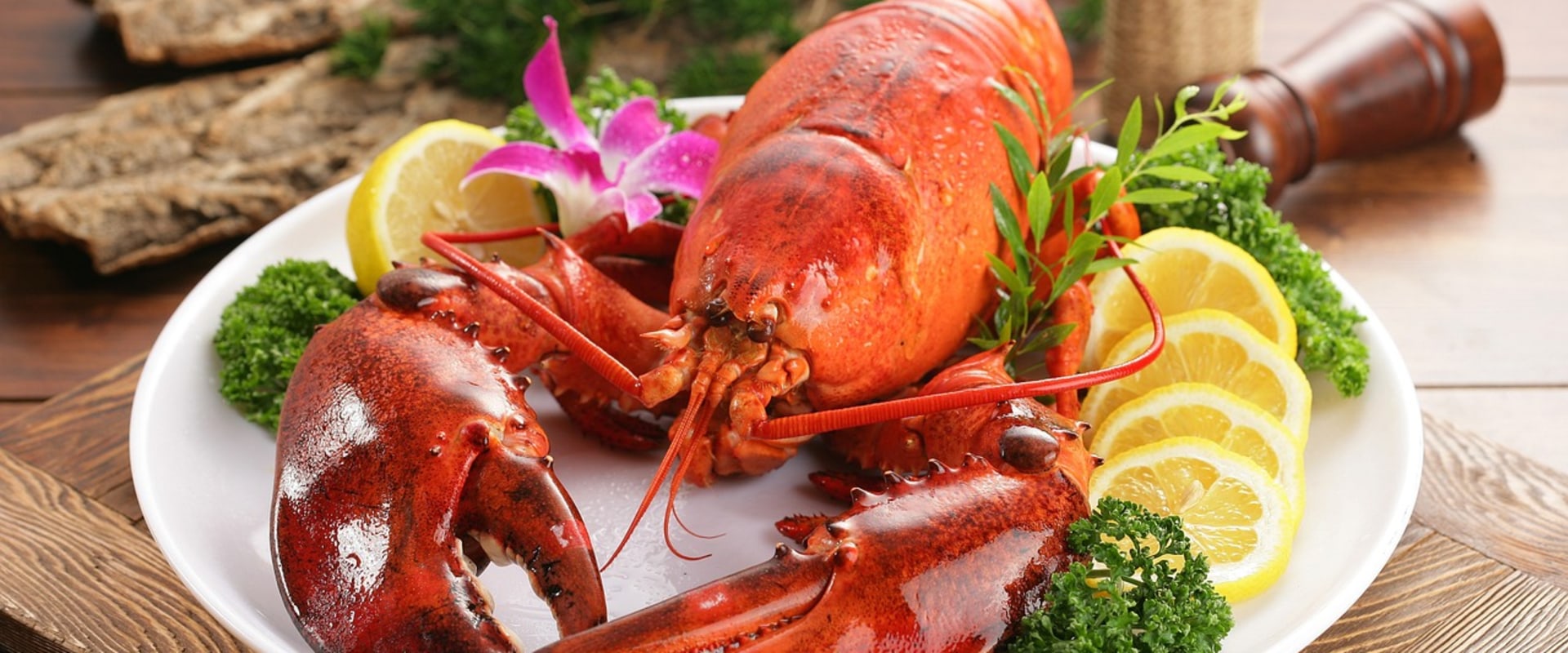 Treat Yourself with Fresh Seafood in Morro Bay